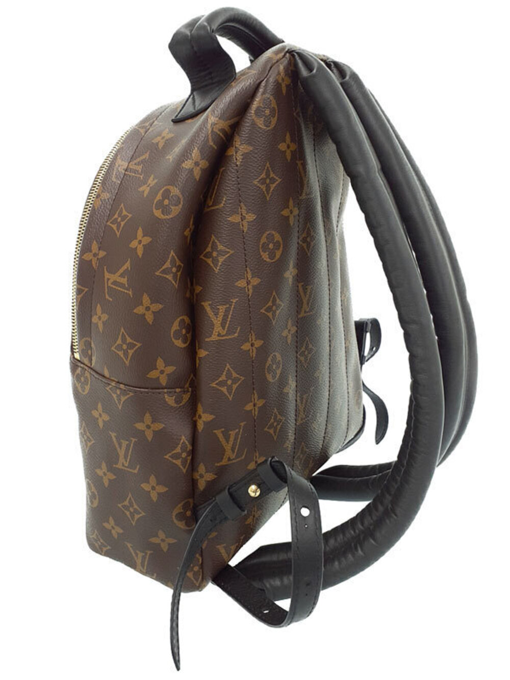 Louis Vuitton Monogram Palm Backpack Springs Brown